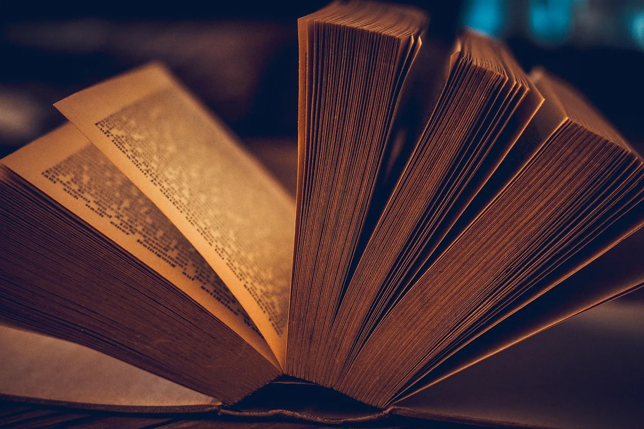 Quiet Reading Sessions at Wetherby Community Hub & Library