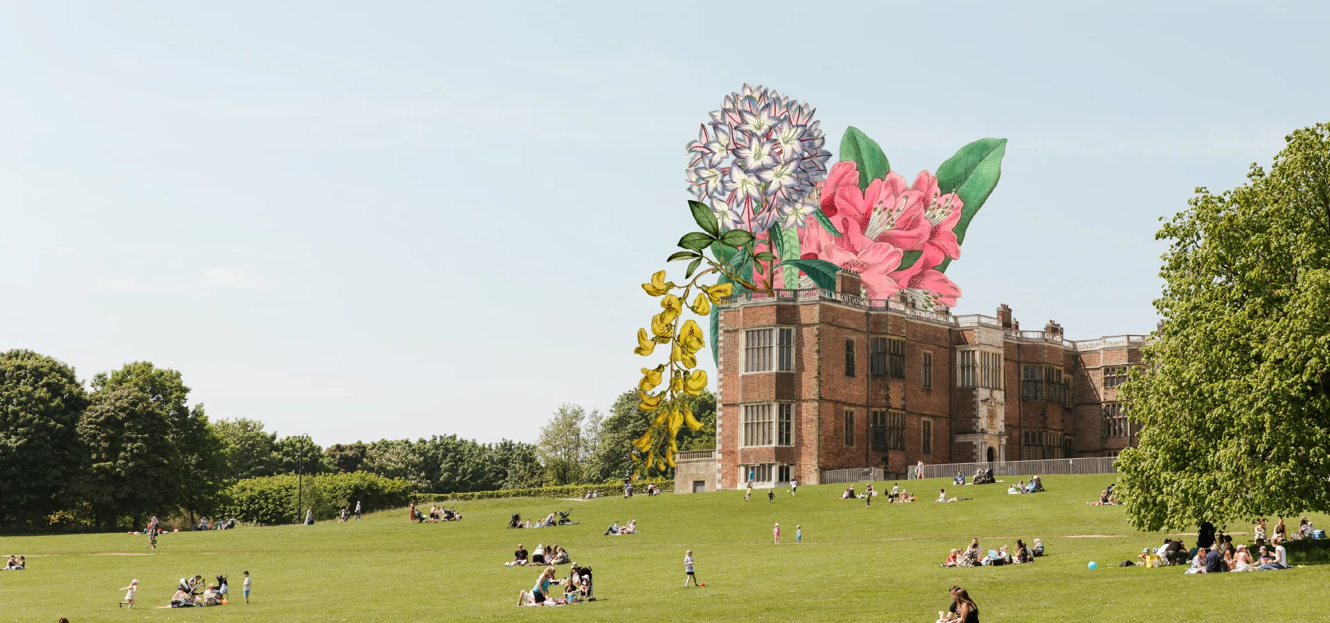 Plant Power: Summer at Temple Newsam at Temple Newsam