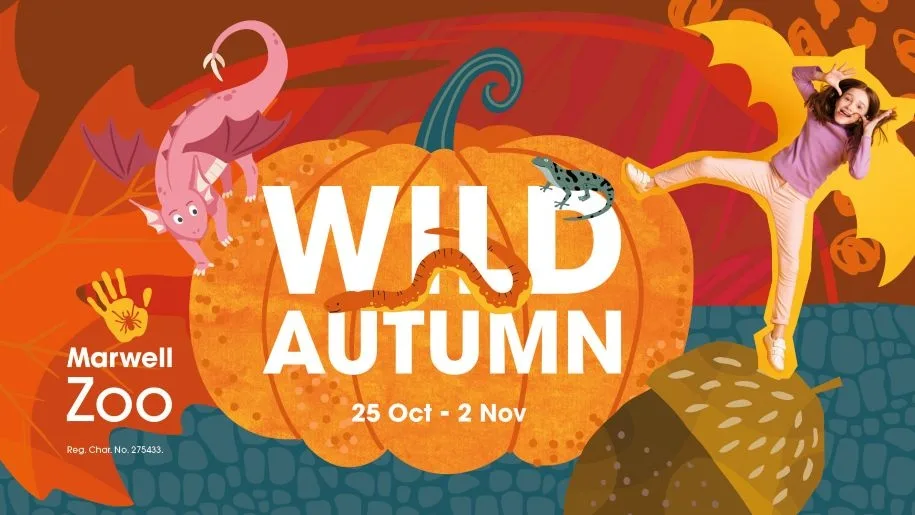 Wild Autumn at Marwell Zoo at Marwell Zoo