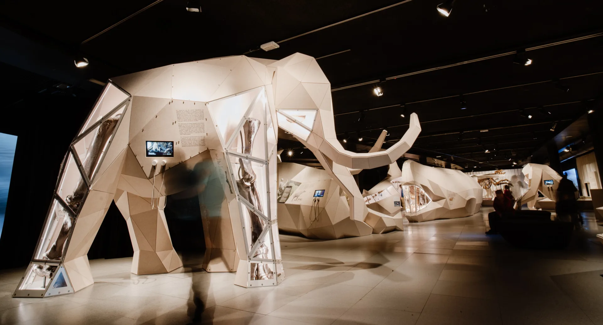 Giants at National Museum of Scotland