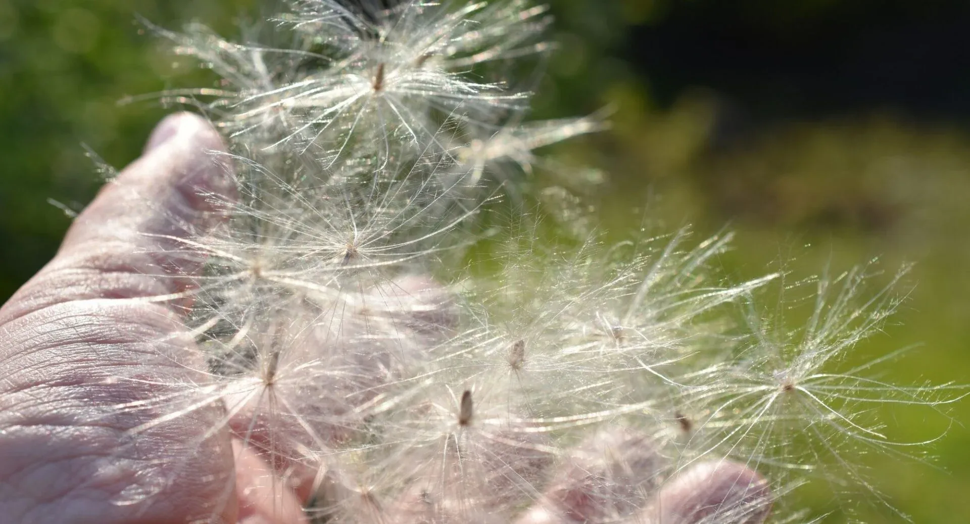 Easy Sundays at Scottish Storytelling Centre