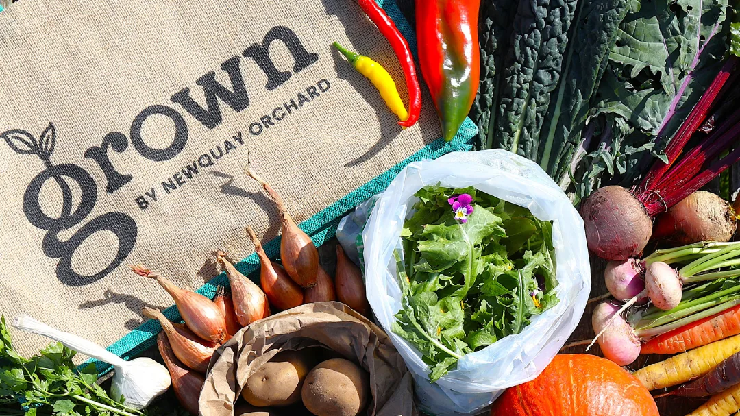 Grown veg bag pick-up at Newquay Orchard