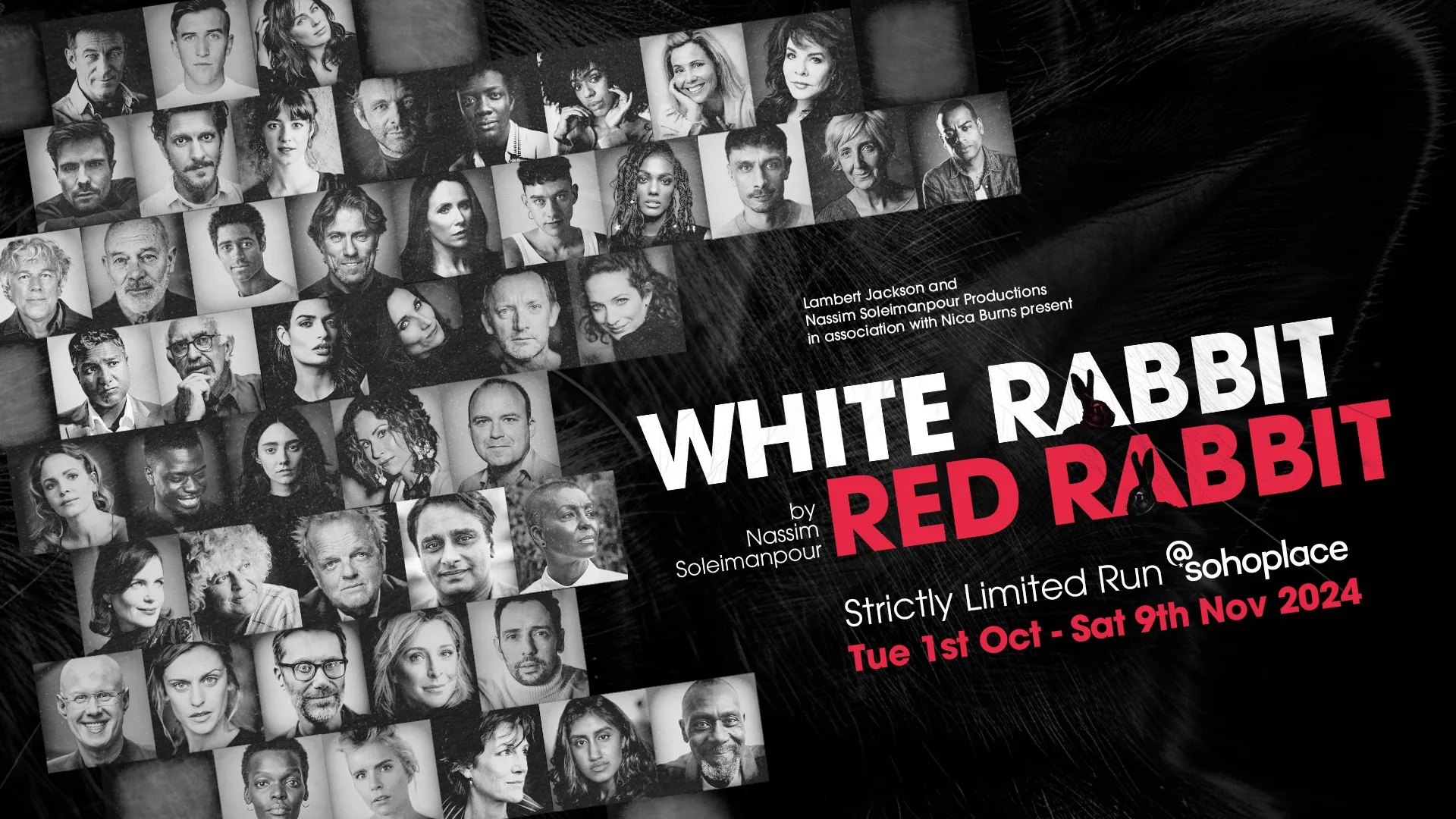 White Rabbit Red Rabbit at Vaudeville Theatre