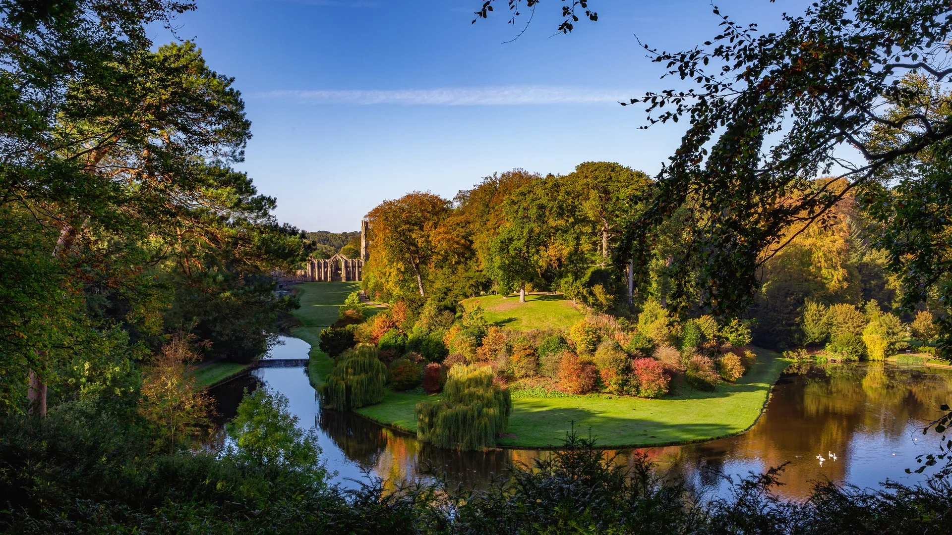 Deer walk at Fountains Abbey and Studley Royal Water Garden