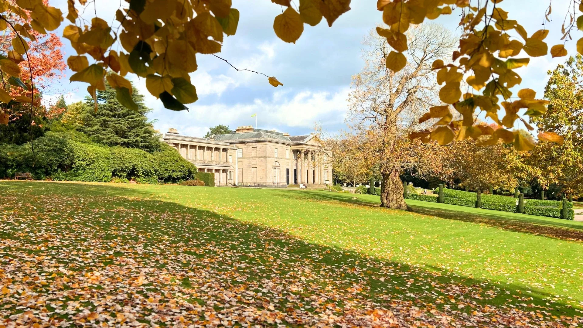 Festive Afternoon Tea at Tatton Park