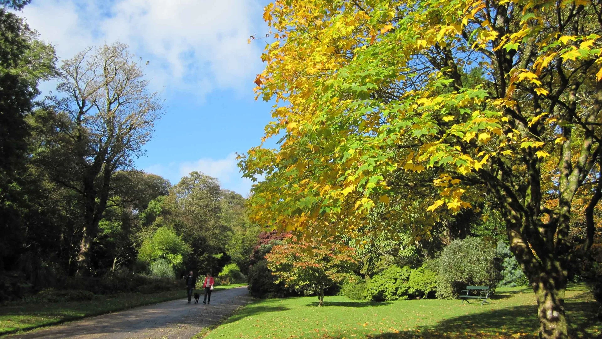 Free entry to Trengwainton for Heritage Open Days at Trengwainton Garden