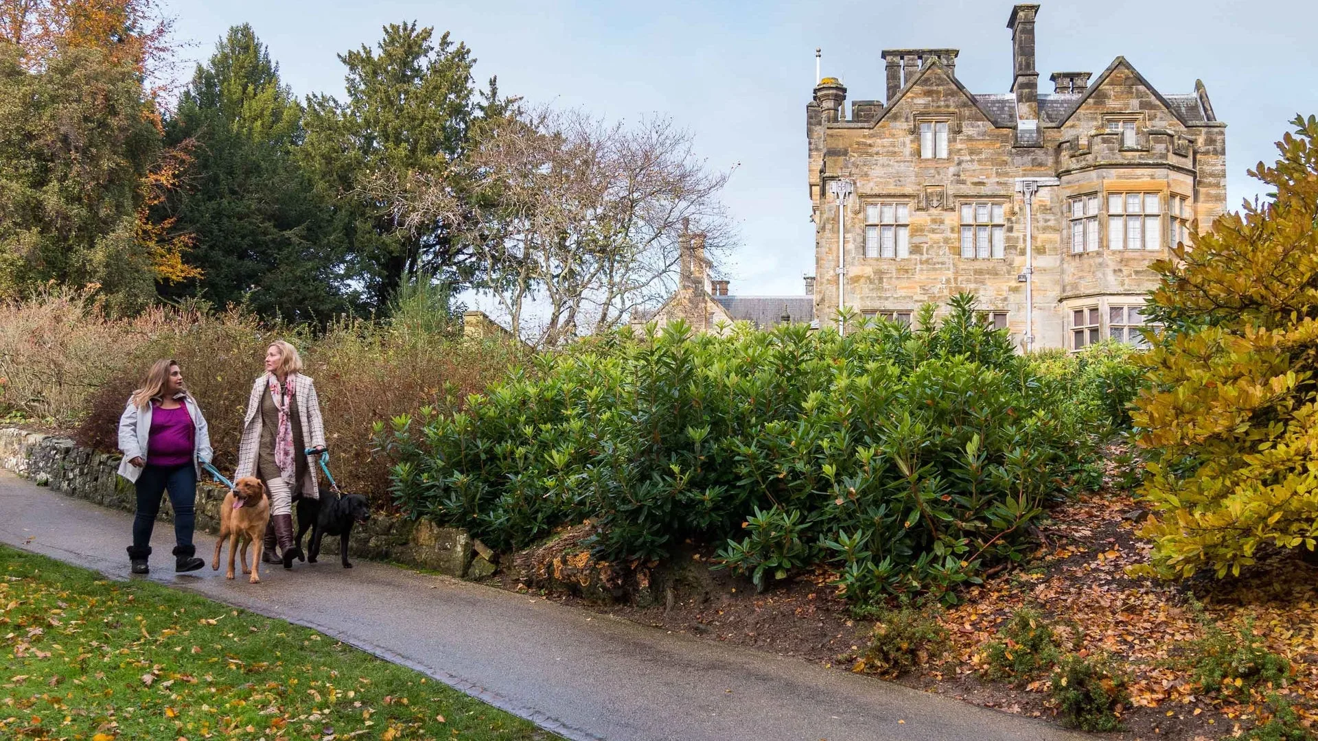 Gingerbread Man Trail at Scotney Castle
