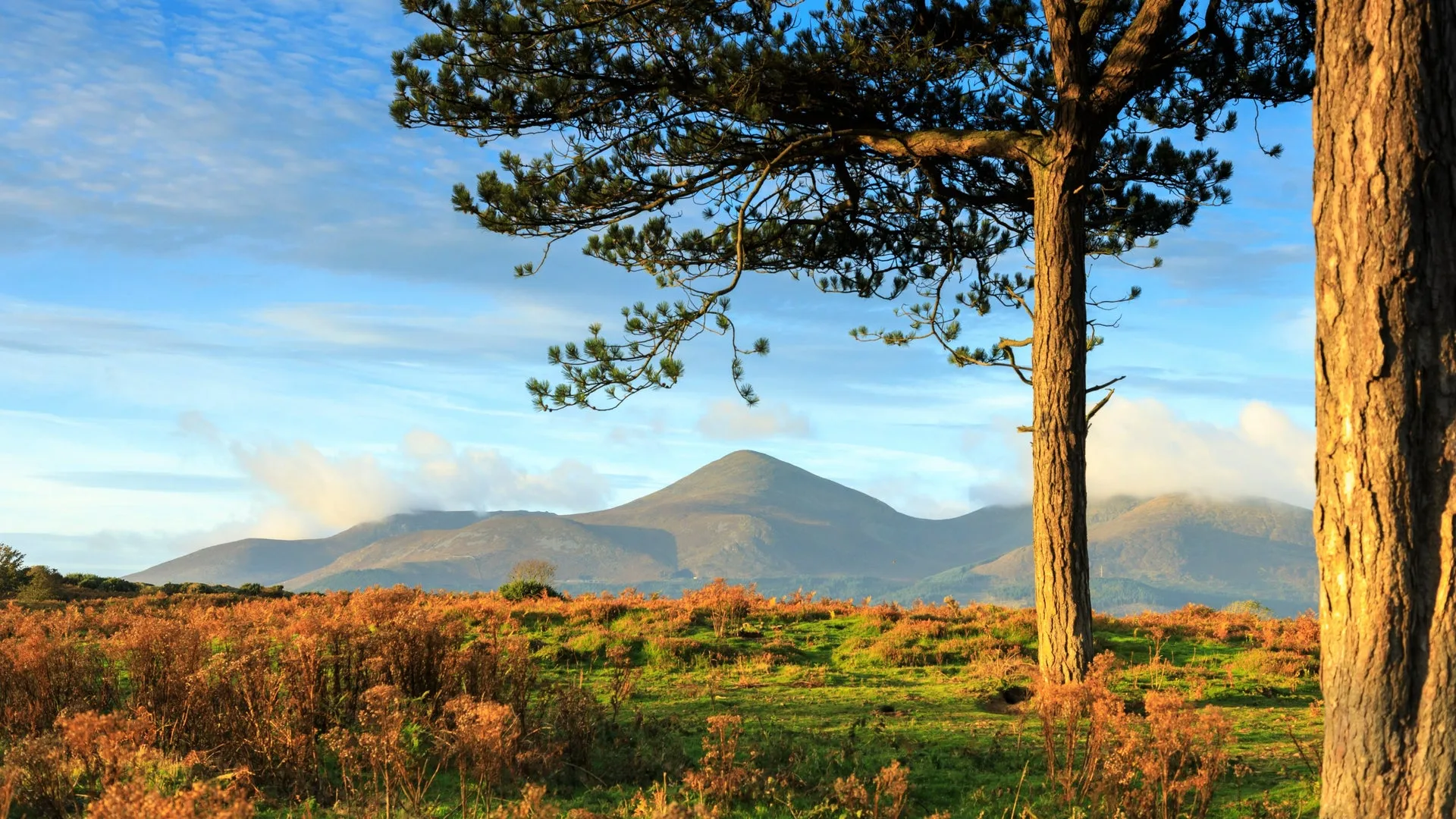 Community beach clean at Murlough National Nature Reserve