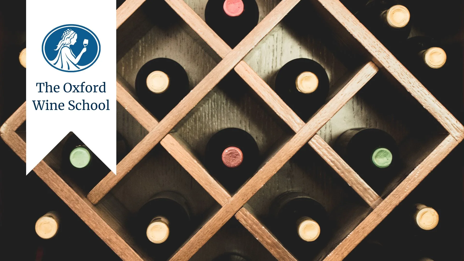 WSET Award in Wines Level One at The Oxford Wine Cellar