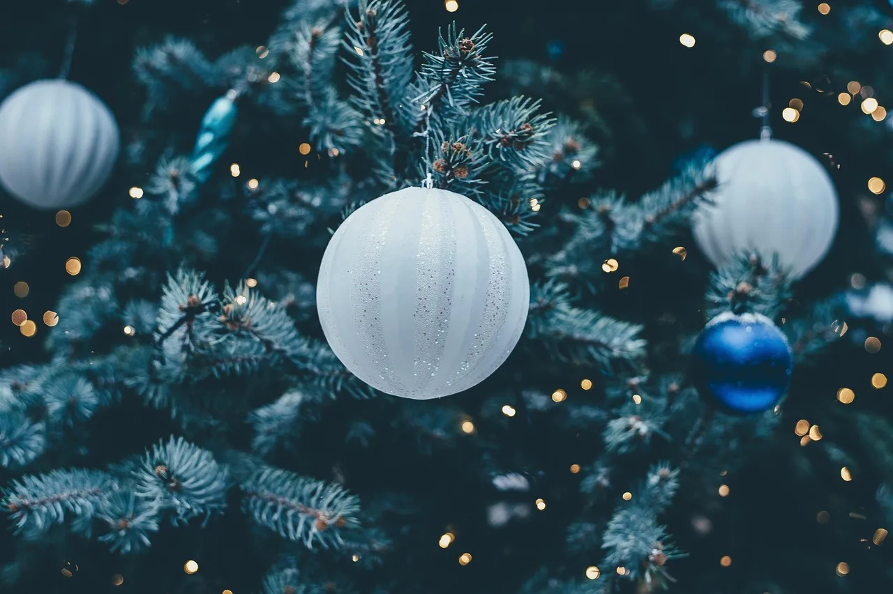 Showaddywaddy's Christmas Cracker - Live Lounge Premium Package