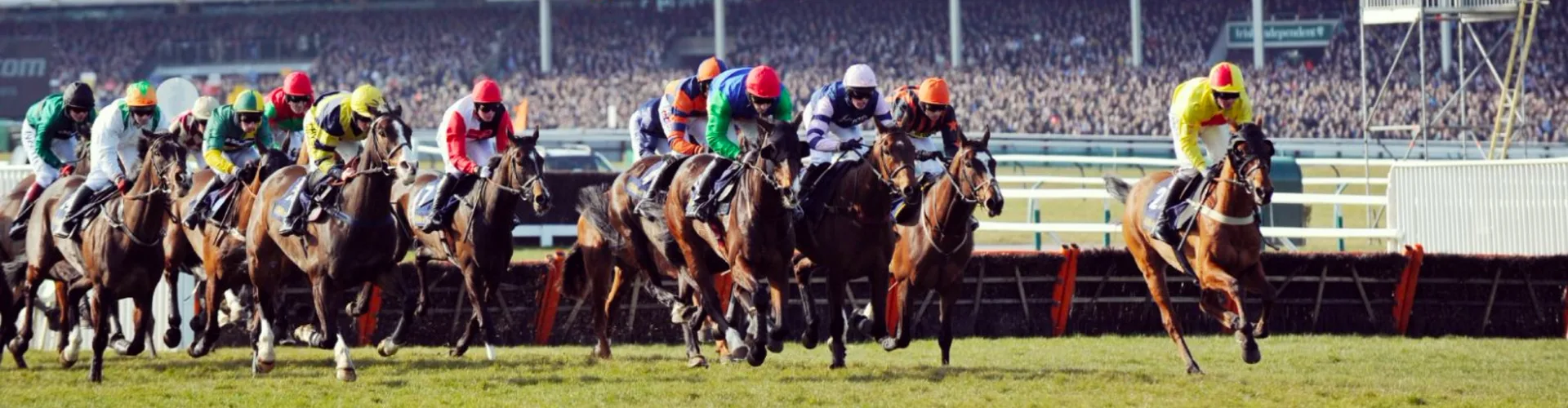 Cheltenham Festival Day 1: Champions Day