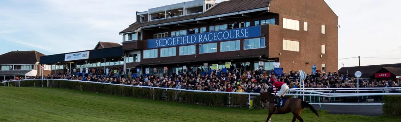 Autumn Jumps - Sedgefield Racecourse at Sedgefield Racecourse