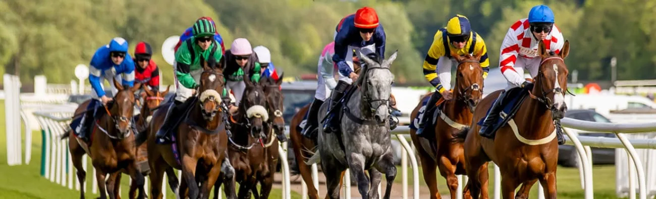 Family Fun Raceday ft K-POP - Uttoxeter Racecourse at Uttoxeter Racecourse