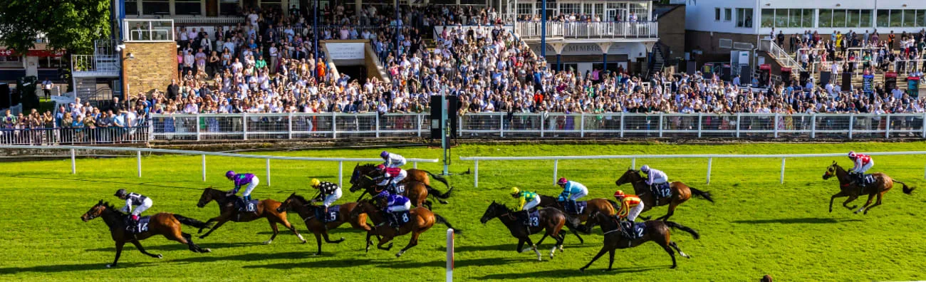 ABBA Racenight - Royal Windsor Racecourse