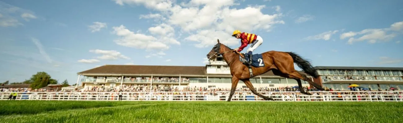 Seasonal Afternoon Racing - Lingfield Park Racecourse