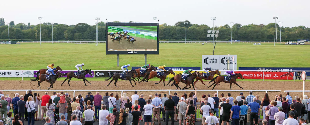 Summer Evening Racing - Wolverhampton Racecourse