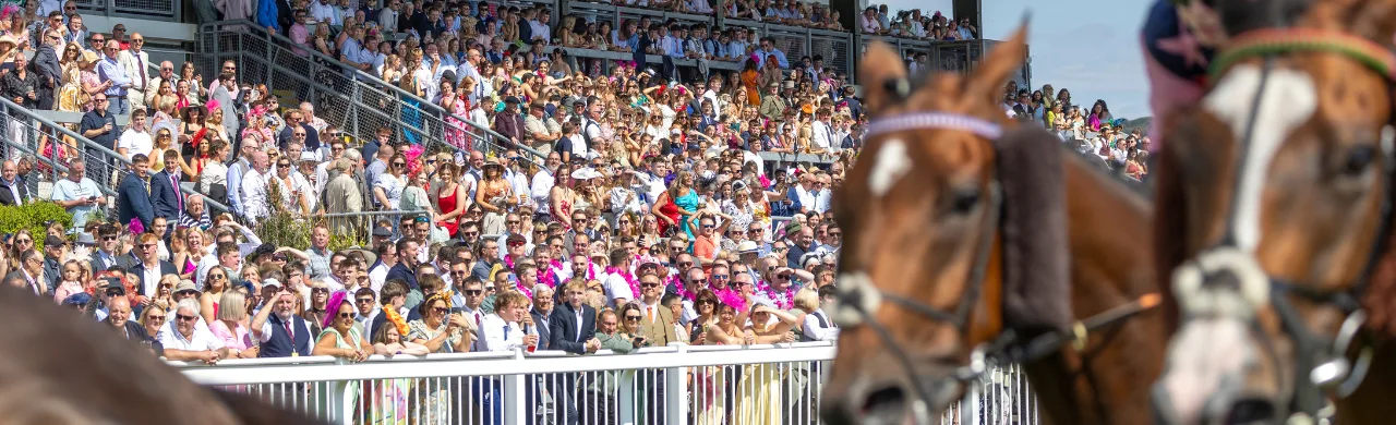 Ladies Day - Ffos Las Racecourse at Ffos Las Racecourse