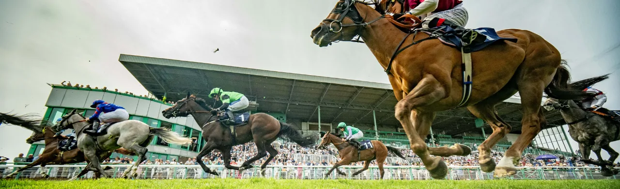 Festival Day 1 - Brighton Racecourse at Brighton Racecourse