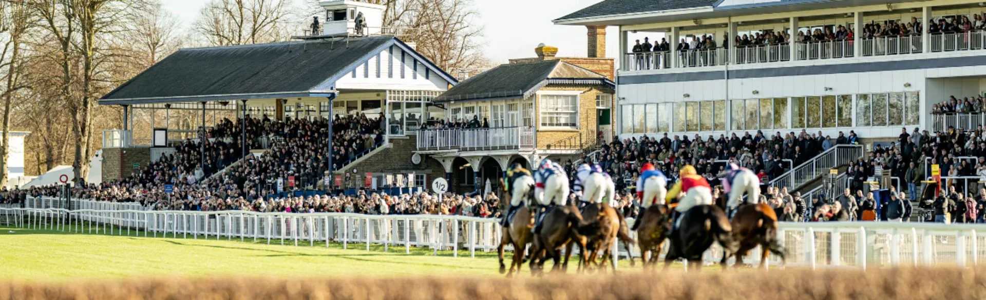 New Years Day Jumps Racing - Royal Windsor Racecourse at Royal Windsor Racecourse