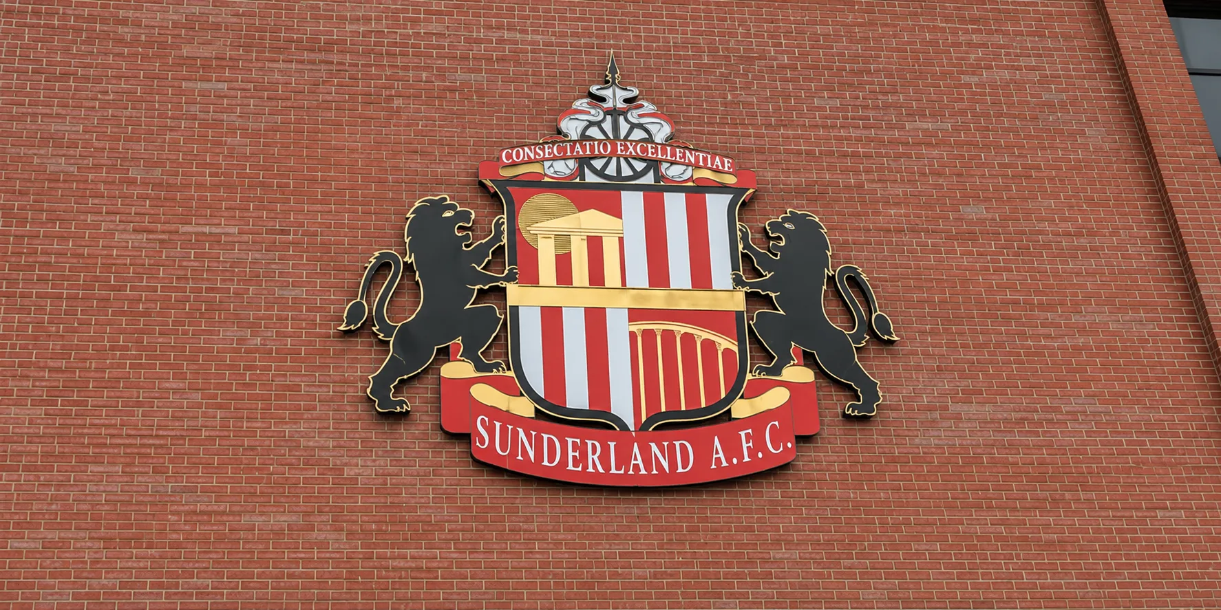 Sunderland v Brighton & Hove Albion