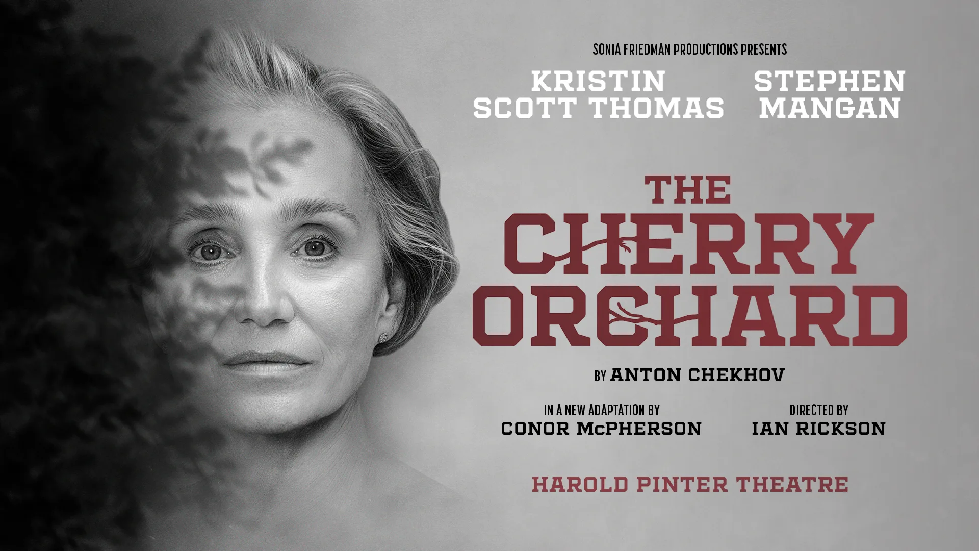 The Cherry Orchard at Harold Pinter Theatre