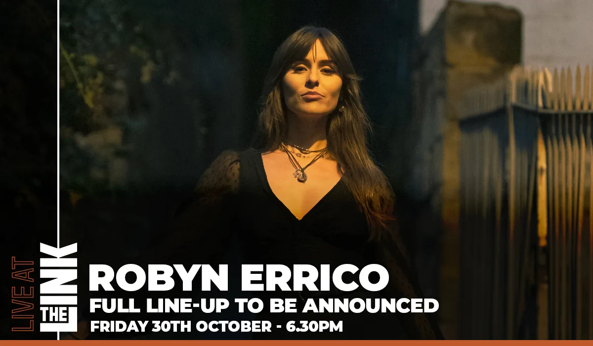 Live at The LINK - Robyn Errico