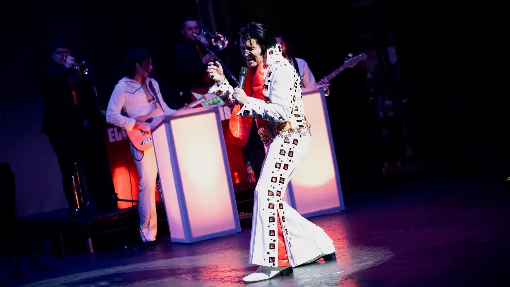 A Vision of Elvis
