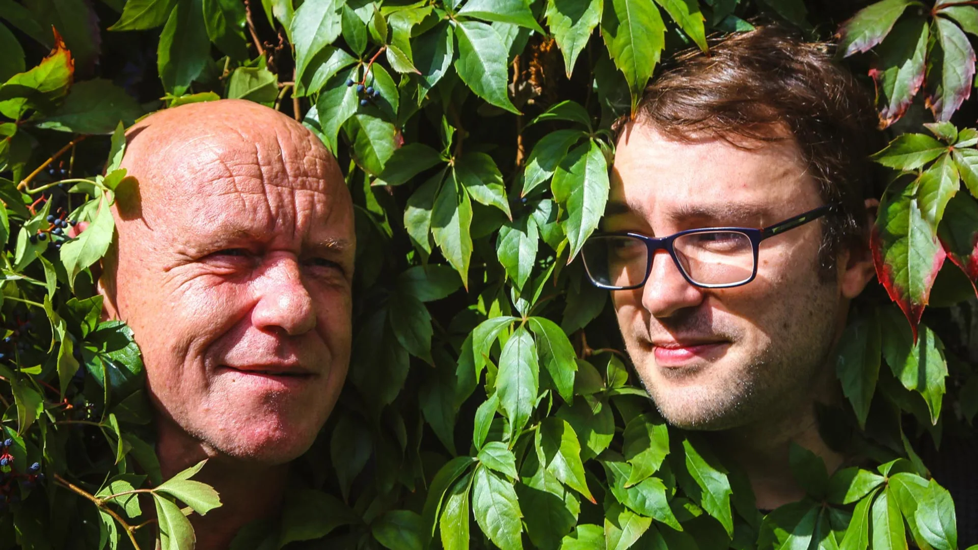 The Orb + the Ozric Tentacles