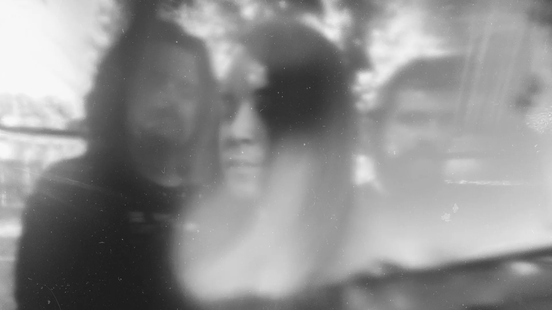 Holy Fawn at Cathouse