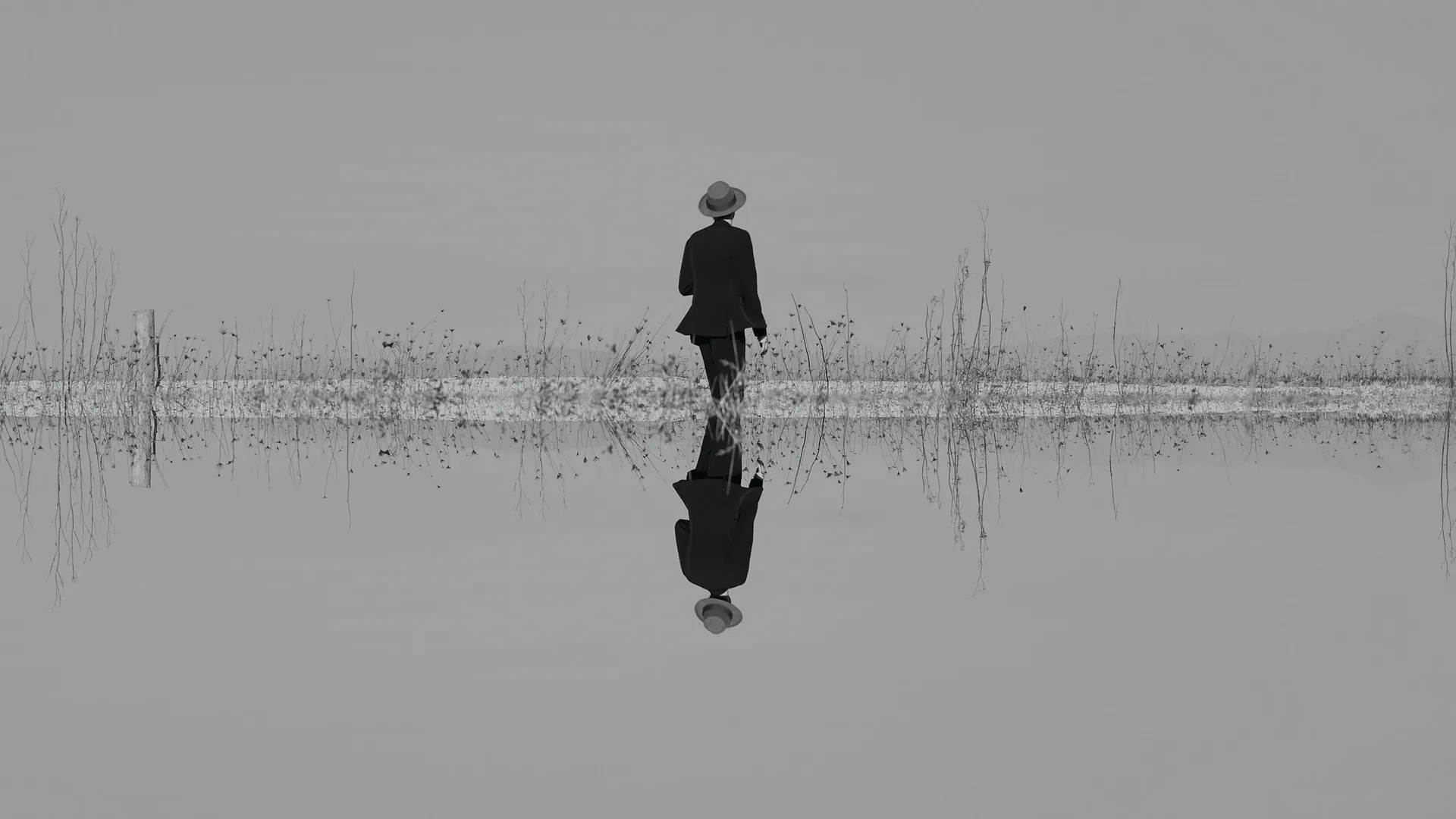 The Veils