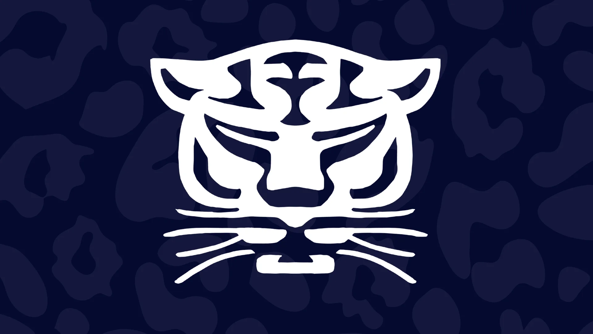 Birmingham Panthers VS Leeds Rhinos