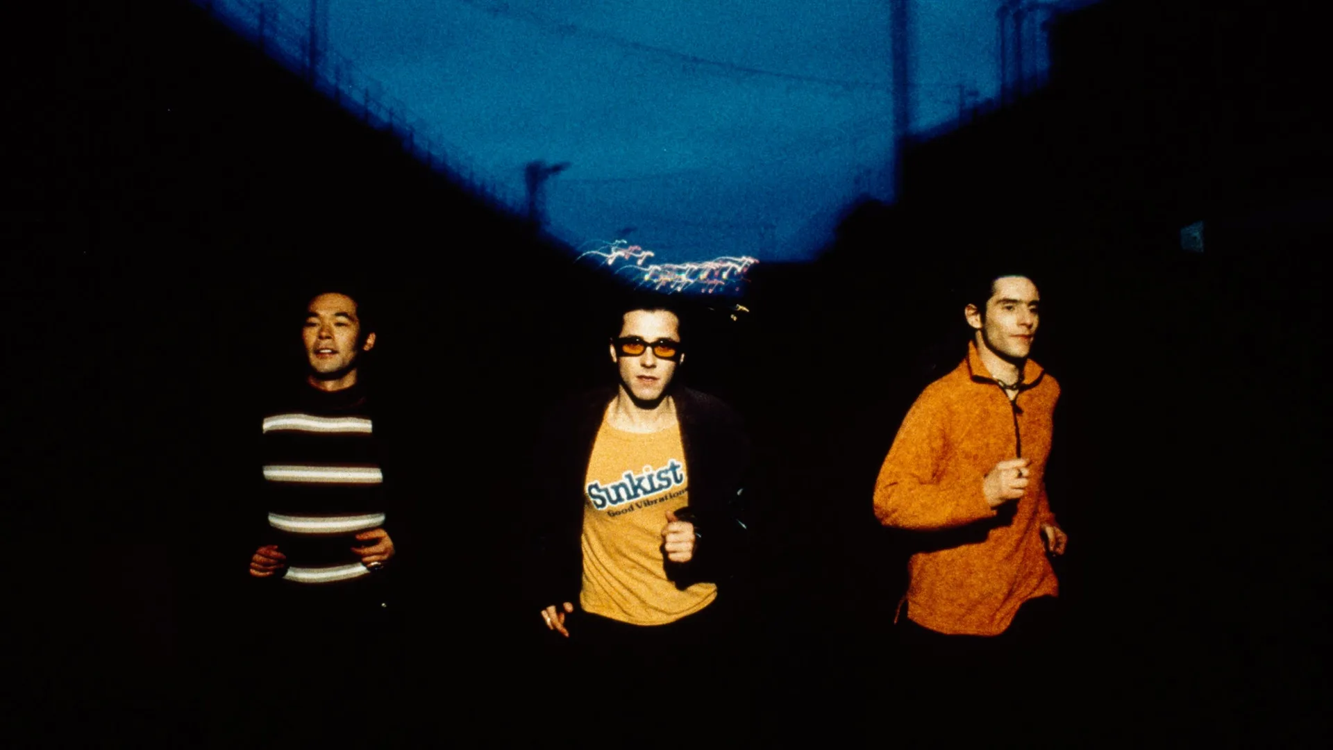 Feeder - Polythene Live