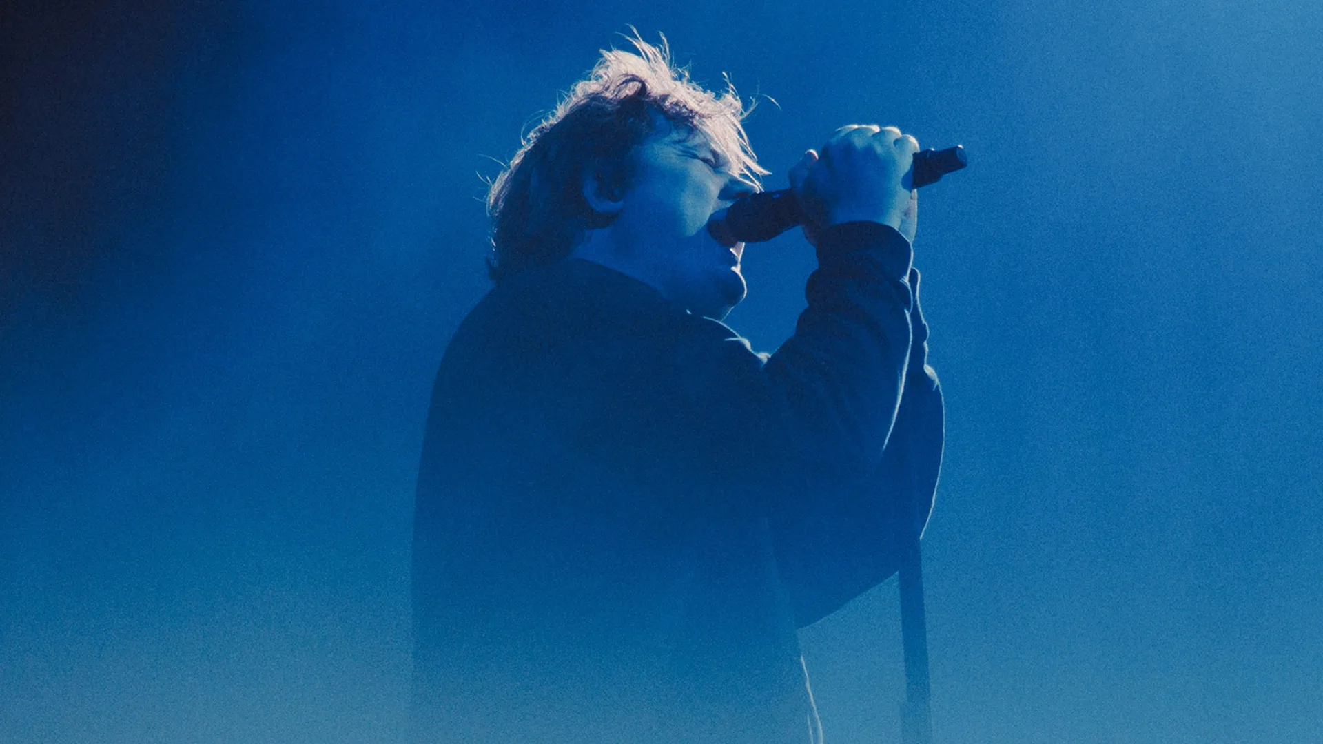 Lewis Capaldi at Wythenshawe Park