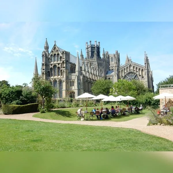 Curious About Ely