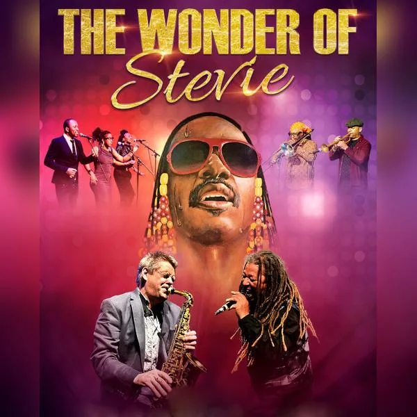 The Wonder of Stevie