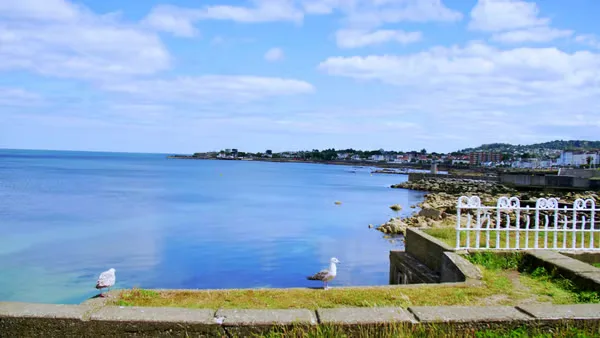 Dun Laoghaire Walking Tour - Explore Local History and Make Friends! at Hartley's Restaurant
