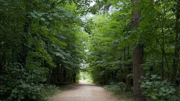 Wexford: Raven Point Nature Reserve at Connolly Train Station