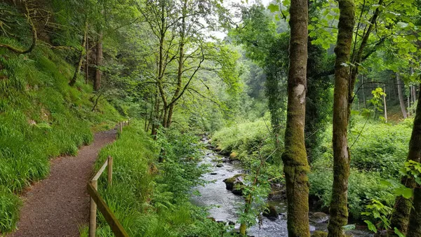 Explore The Devil’s Glen Forest in Ashford, Wicklow Trip. at Busaras Dublin