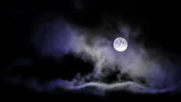Special Edition - Full Moon Singles Walk - Age late 20s to late 30s at Clontarf The wooden bridge
