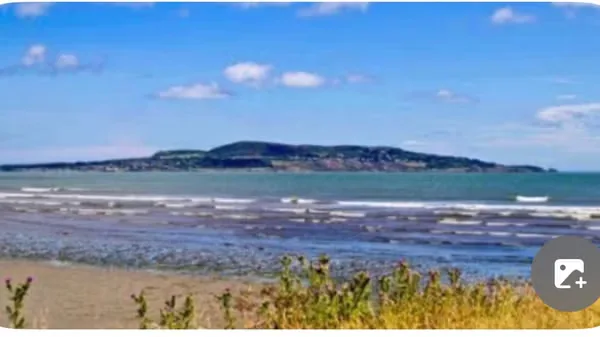 🏖Beach walk(with optional fun litter picking) - Dollymount beach & lunch