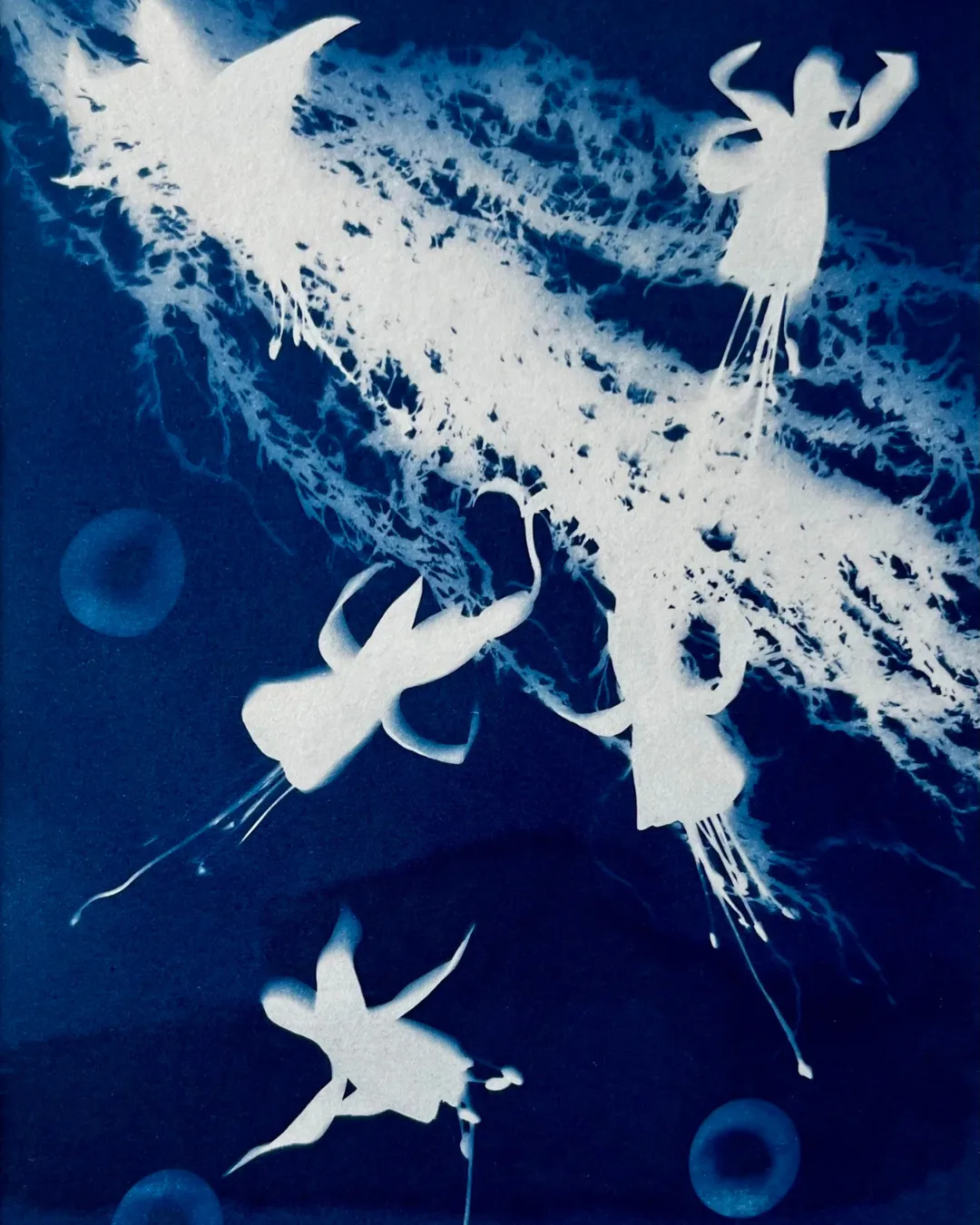 Cyanotype Printing Workshop at SET Social