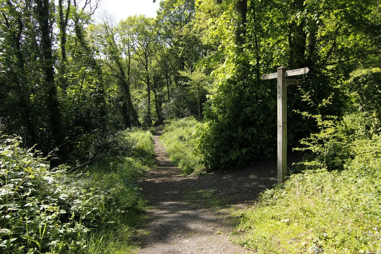 Volunteering @ Lloyds Coppice