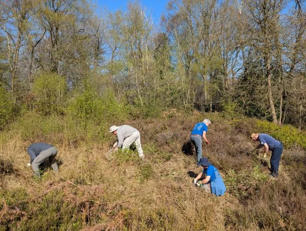 Volunteering @ Dale Coppice Heathland