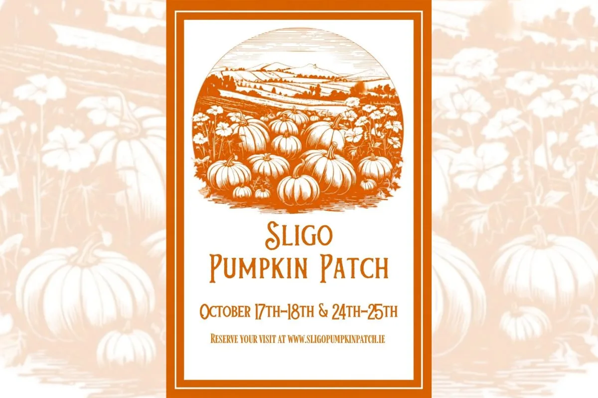 Sligo Pumpkin Patch at Dunmoran Strand