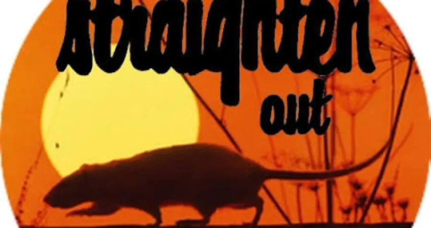 Straighten Out Stranglers Tribute at Dublin Castle
