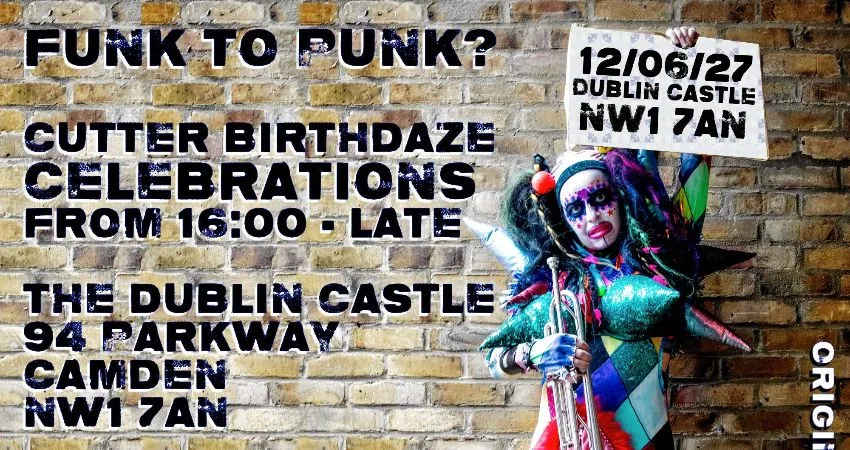 Frank Cutter Birthday Celebrations at Dublin Castle