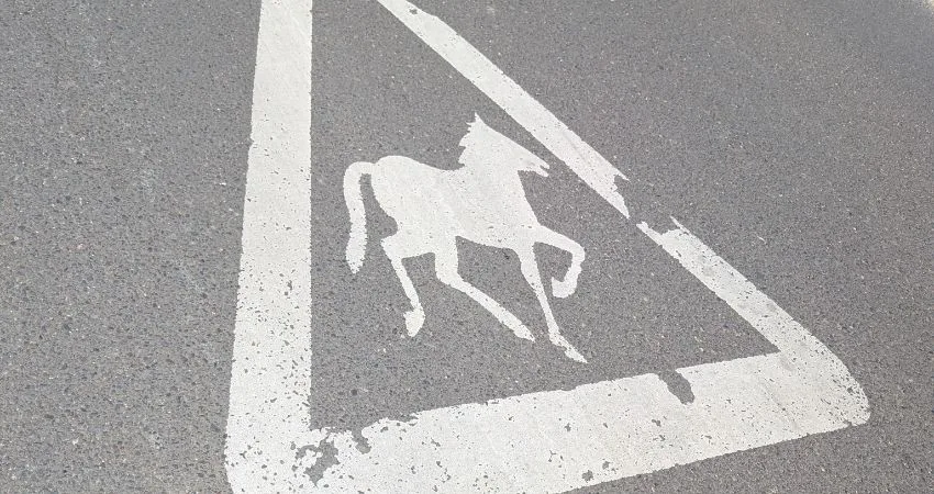 Cerys Bradley: On Road Signs at Fishergate Point Studios
