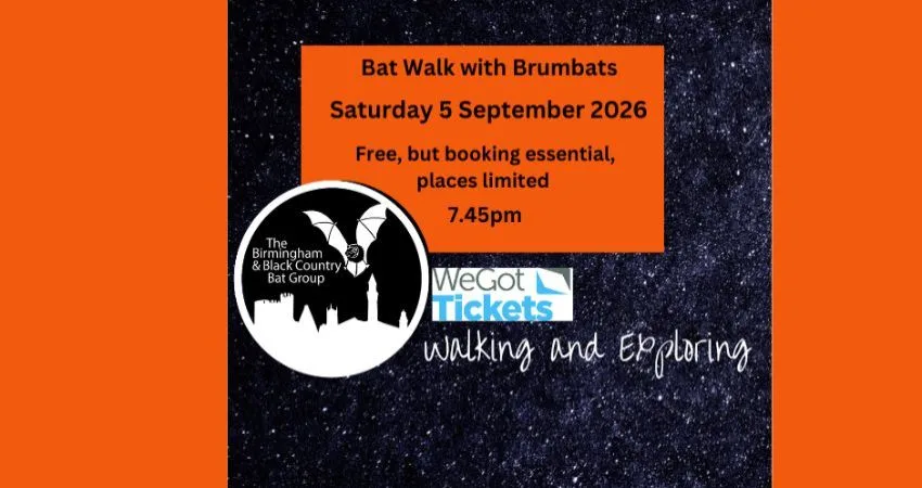 Bat Walk with BrumBats at Highbury Park