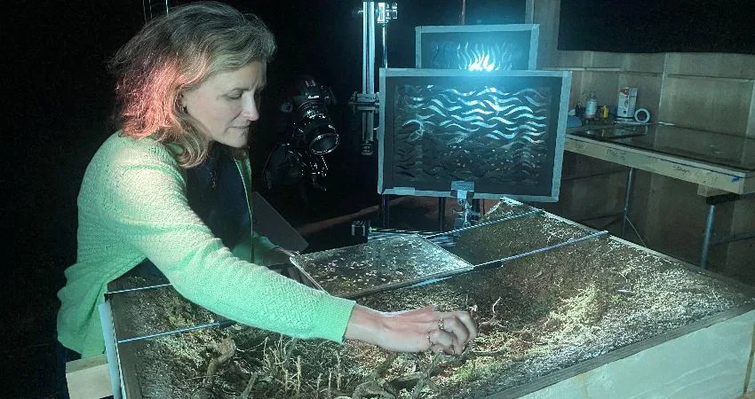 PRODUCTION DESIGN & ART DIRECTION IN FILM TALENT LAB WITH ALEXANDRA WALKER (AGES: 16-25)