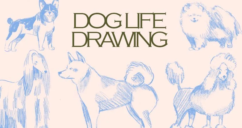 DOG LIFE DRAWING at Oxford Kelpie Coffee Oxford Castle